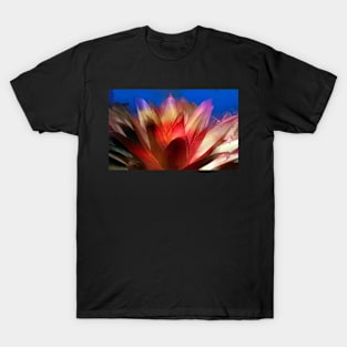 Bromeliad On Fire T-Shirt